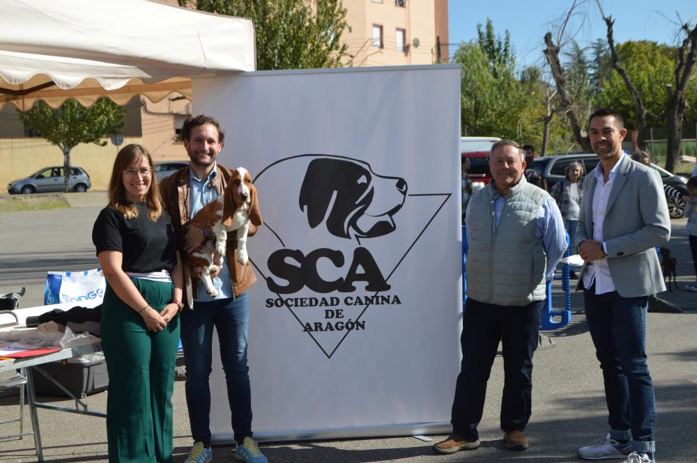 Imagen Gran participación en el VIII Concurso Nacional de Morfología Canina ‘Ciudad de Monzón’
