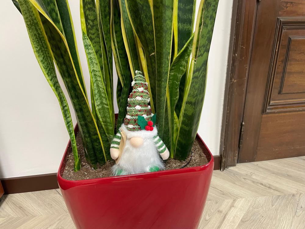 Imagen Concurso de Navidad para localizar los 10 gnomos guardianes de la luz