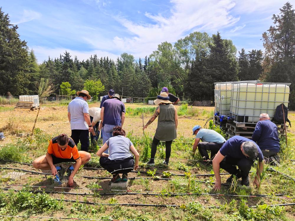 Imagen Nuevo curso de horticultura ecológica