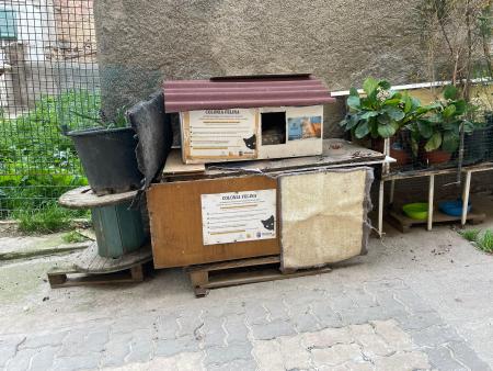 Imagen El Ayuntamiento retirará la comida para gatos que no esté en los sitios...