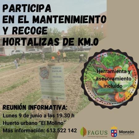 Mantenimiento huerto urbano