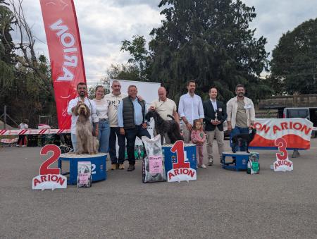 Imagen El IX Concurso Nacional de Morfología Canina ‘Ciudad de Monzón’ reúne a ...