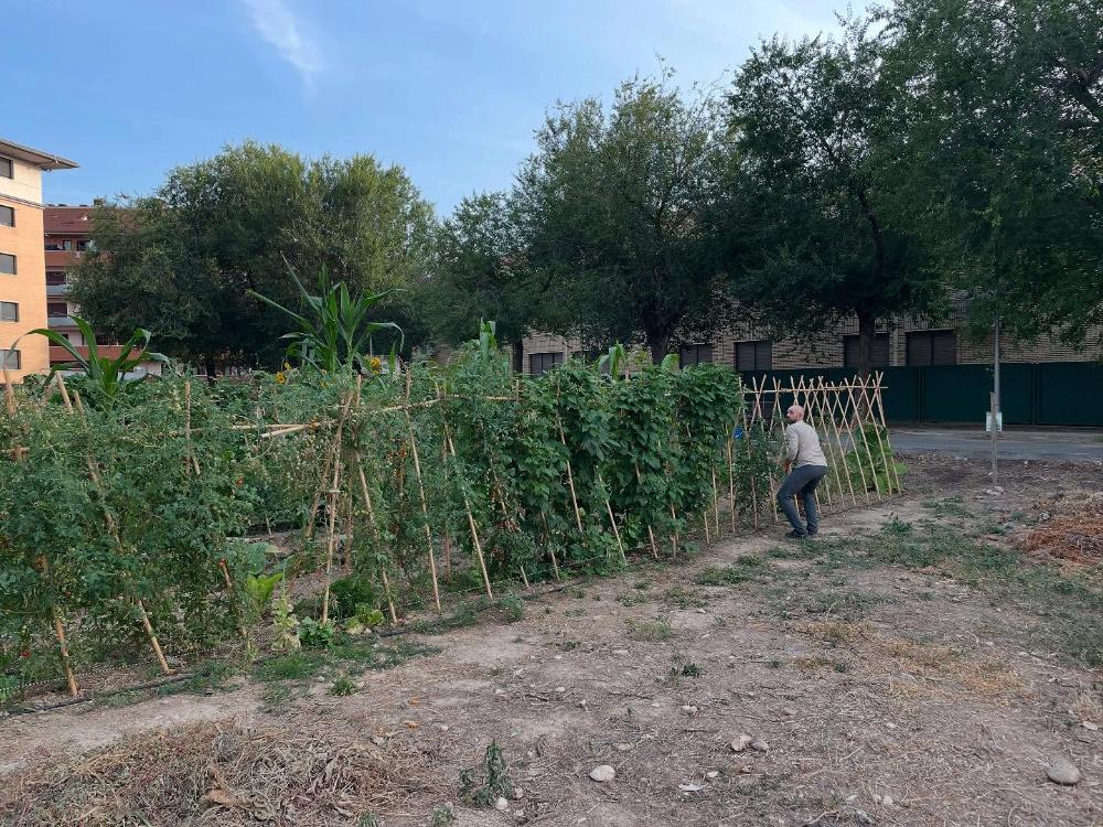 Imagen El curso de Horticultura Ecológica de Monzón alcanza su sexta edición