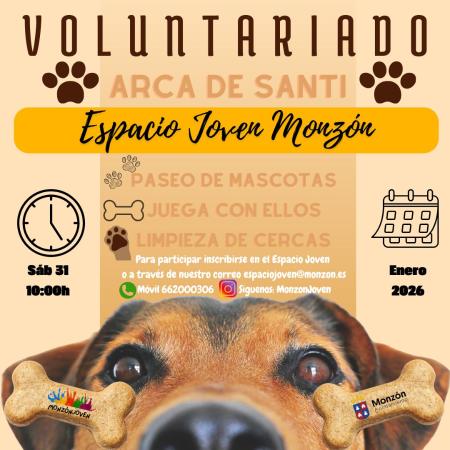 Imagen Voluntariado juvenil en la Protectora Arca de Santi