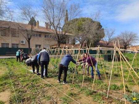 Imagen Arranca el VI Curso de Horticultura Ecológica