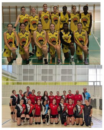 Imagen Monzón acoge la final four juvenil de voleibol y cadete de baloncesto...