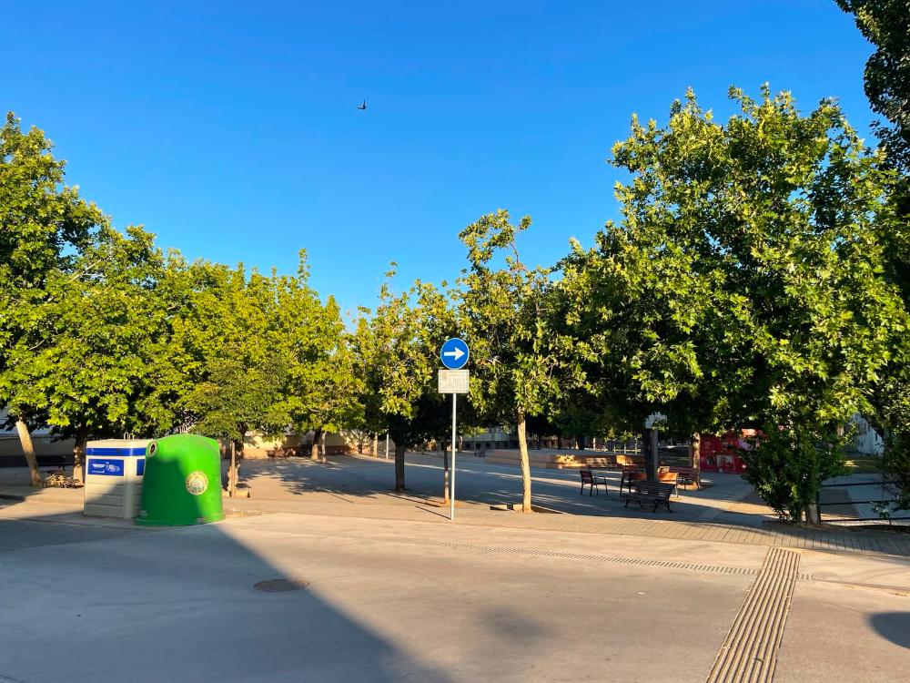 Imagen El Ayuntamiento de Monzón pone en marcha una campaña para erradicar la plaga de mosquitos tigre